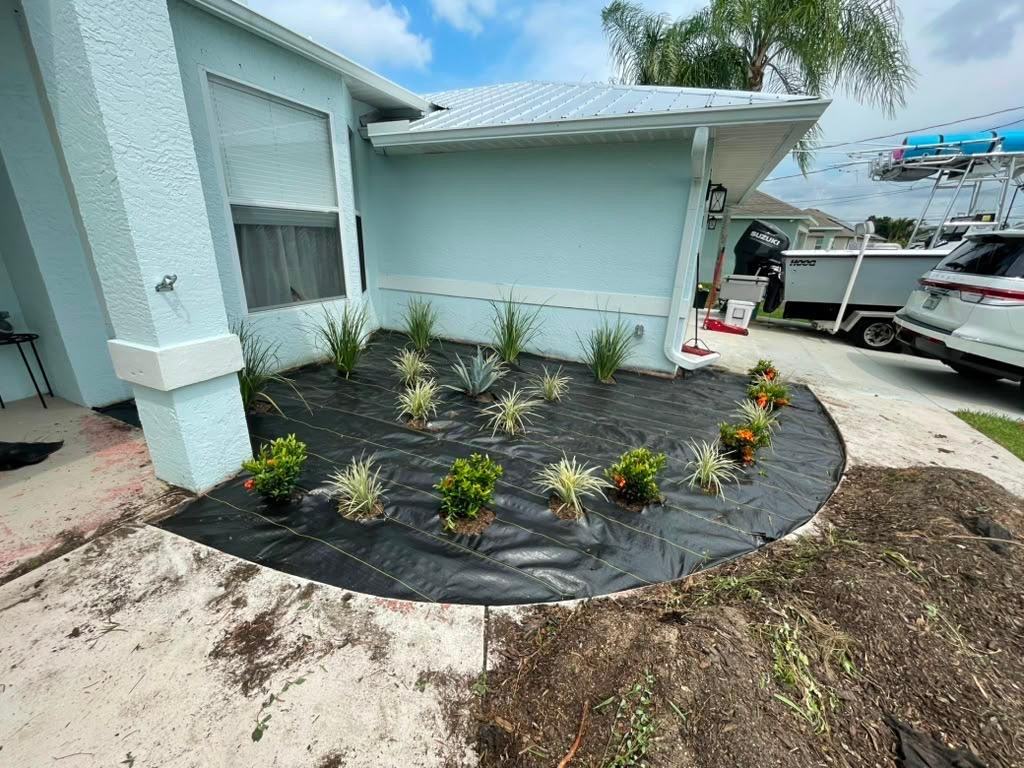 Landscape fabric down and plants staged during a rock bed install in Royal Palm Beach, FL