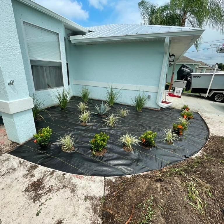 Landscape fabric down and plants staged during a rock bed install in Royal Palm Beach, FL