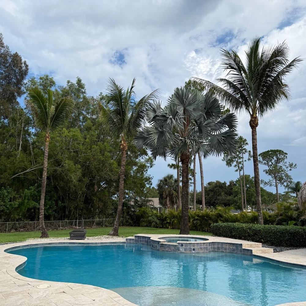 Palms and planting installed around a pool deck in Wellington, FL