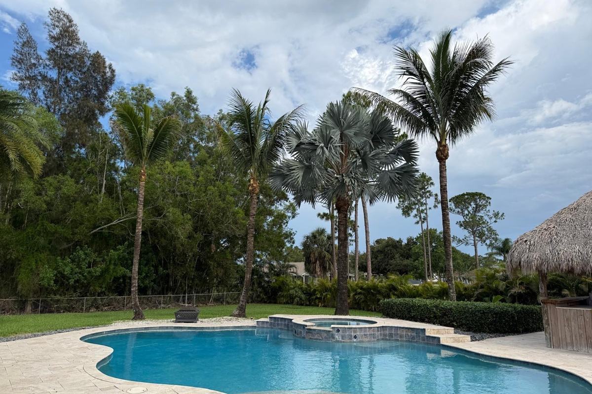 Palms and poolside landscaping at a screened pool deck in Wellington, FL